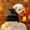 Ubrania dla zwierząt na Halloween Ubrania dla psa Ubrania dla kota Odzież na co dzień Modna odzież Sweter