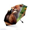 Chow Chow Dog Face Umbrella - Automatic Open/Close, 8-Rib Compact Folding Umbrella with Fluffy Chow Chow Portrait, Cute Brown