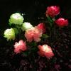 Solar Peony Flower Lamp Gift Choice For Garden Enthusiasts Gentle Illumination Peony Flower Lights