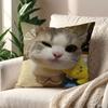 Funny Cat Memes cushion cover For Pillow Printing Sofa Decoration Home Car Room Coffee Shop Office Nordic Simplicity