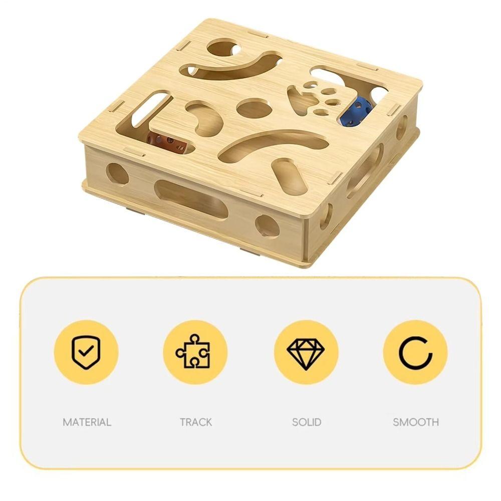 Creative Pet Puzzle Track Toy Funny Cat Exercise Toy Cat Teasing Box  Solo Play Time