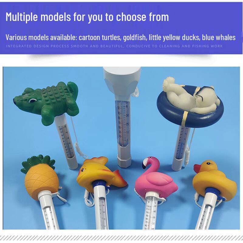 Floating Pool Thermometer