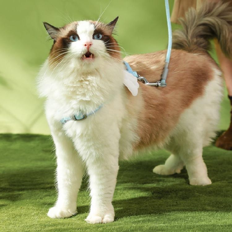 Cats Harness No-Pull Leashes Escape Proof 4 Feet Durable Leash for Small Dogs