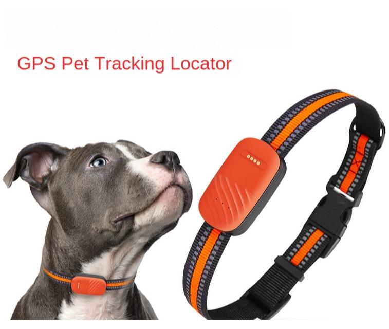Haustier-Ortungsgerät PDG51 GPS Hund Katze Anti-Verlust-Gerät ODM-Lieferant Haustierbedarf für Asien Europa US-Edition Smart Tracker