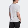 Adidas Terrex W Mt Tee Outdoor Sports Round Neck Short Sleeve Women Tops White H53387