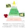 KANEBO Skin Harmonizer 180ml Lotion Moisture Hydration Dryness Irritation Suitable Men Gift