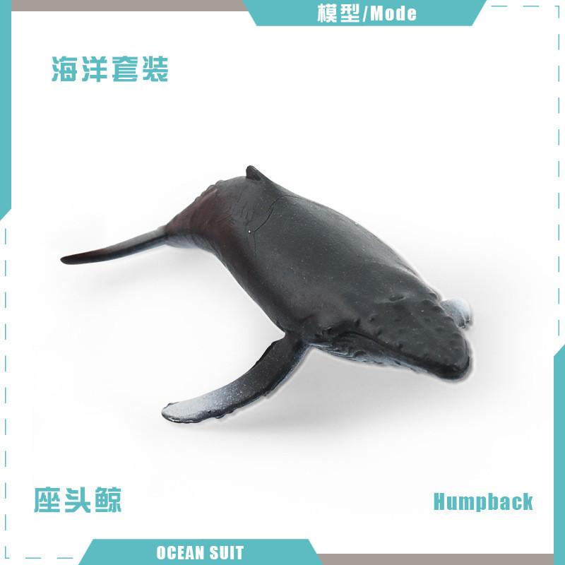 Zestaw modeli zwierząt oceanicznych premium z PVC, w tym rekiny, żółwie, delfiny, pingwiny i kraby do zabawy edukacyjnej