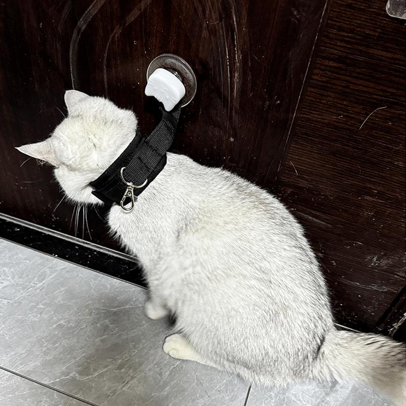 Katzenbad Fixier- und verstellbares Seil Reinigungs-Spezial-Saugnapfband für langlebige und stoppsichere Bewegung von Katzen und Hunden