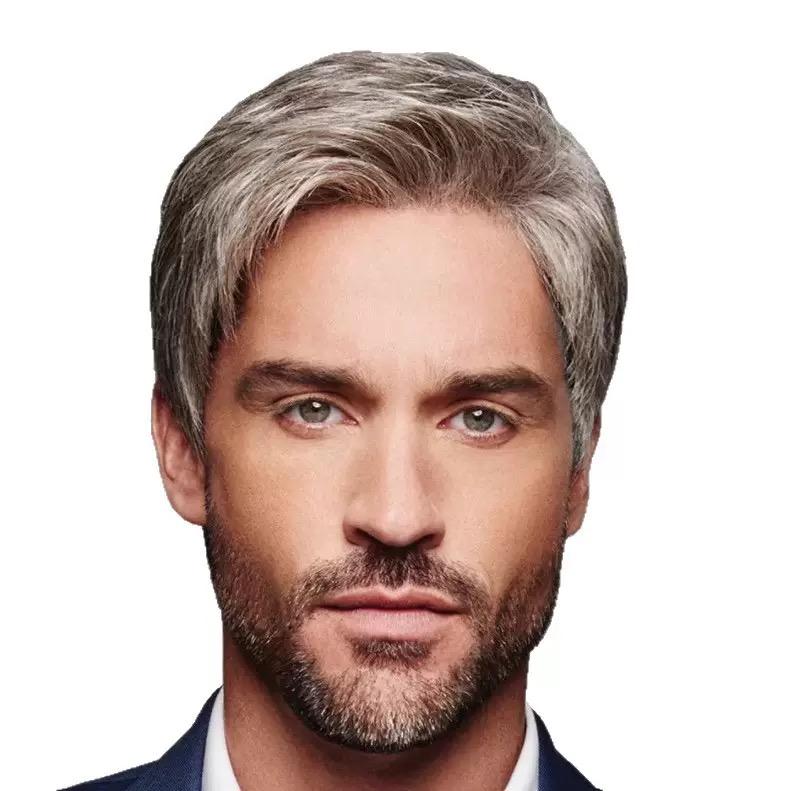 Men's Short Wig, Silver Gray Synthetic Hairpiece for Daily & Formal Wear