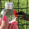 Wiszący podajnik dla kolibrów Ręczne karmienie Ogród Podwórko Karmienie i pojenie kolibrów Blisko i intymnie z naturą