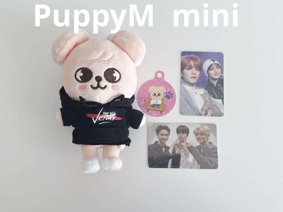 

[Б/У] МИНИ-ПЛЮШ SKZOO (ЩенокМ) мягкая игрушка straykids