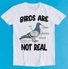 Palomas Las Aves No Son Reales Divertido Pájaros Espías Teoría de la Conspiración Edición Limitada El Más Vendido Meme Divertido Mejor Regalo Camiseta K1587