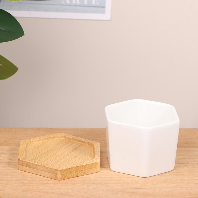 Seramik Saksı Beyaz Altıgen Seramik Saksı Tepsili Avrupa Saksısı Basit Sukulent Bitki Kabı Küçük Bonsai Saksıları