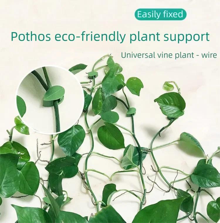 10PCS Equipment for Plants In The Garden Gadgets Plant Support Stakes Climbing Plant Vegetable Gardening Articles Tomato Clips
