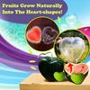  Heart-shaped Watermelon Shaping Growth Molds  Heart Fruit Mould