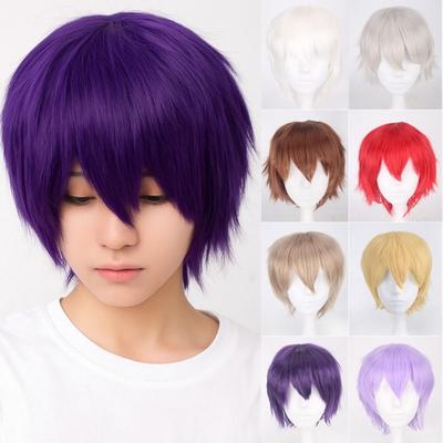 Synthetische Kurze Gerade Haare Hitzebeständig Männliche Gestufte Perücken Vollkopf Anime Cosplay Perücken Junge