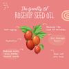 Atvi.fit Rosehip Oil for Face Wrinkles, Fine Lines, Under Eye, Curly Hair for Men and Women | 100% Pure, Natural, Organic, Cold Pressed Seed