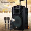 Songchuan International SS1 15-inch Outdoor Trolley Speaker CN plug (adapter included)