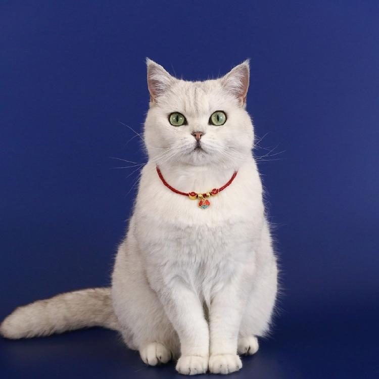 Vintage Cats Pendant Collar for Small Cats Decorative Necklace Collar for Birthday Party Dog Collar Pet Chinese Necklace