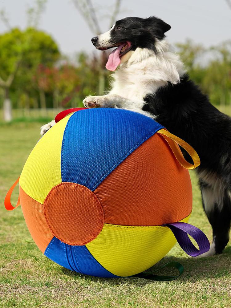 Dog Soccer Ball Interactive Pet Toys Foldable Ball Molar Toy Outdoor Training Ball For Puppy Dog Chew Dog Accessories