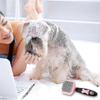 Small Dog Brush Pet Grooming Brush Cat Brush Pet Grooming Tools Pink
