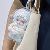 1Pcs Acrylic Protective Storage Case for Skull Panda -Plush Dolls Display Bag No Doll Transparent Portable Organizer Box