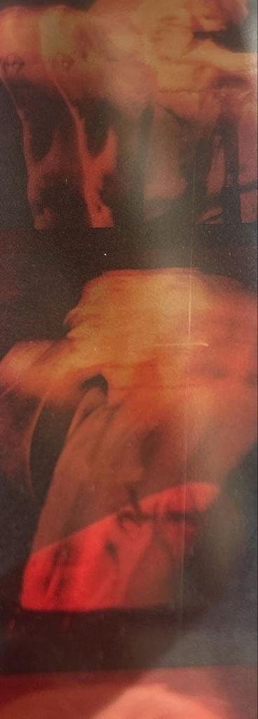 [USED] HIGHLIGHT Lee Gi Kwang Predator Burnt Album