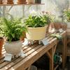 3 STKS 3D Geprinte Potvoetjes Decoratieve Plantenpot Steunen Plantenpot Verhoger Binnen Potplanten