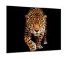 GLASS PROTECTIVE PLATE FOR STOVE 60x52 TIGER