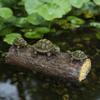 Frog Duck Resin Figurine: Miniature Floating Decoration for Home and Garden