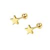EVISPOL Hypoallergenic Stainless Steel Star Stud Earrings for Women Screw Back Cartilage Tragus Helix Earrings Piercing Jewelry