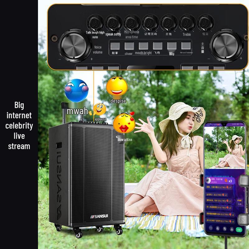 SANSUI E12 Portable High-Power Trolley Speaker