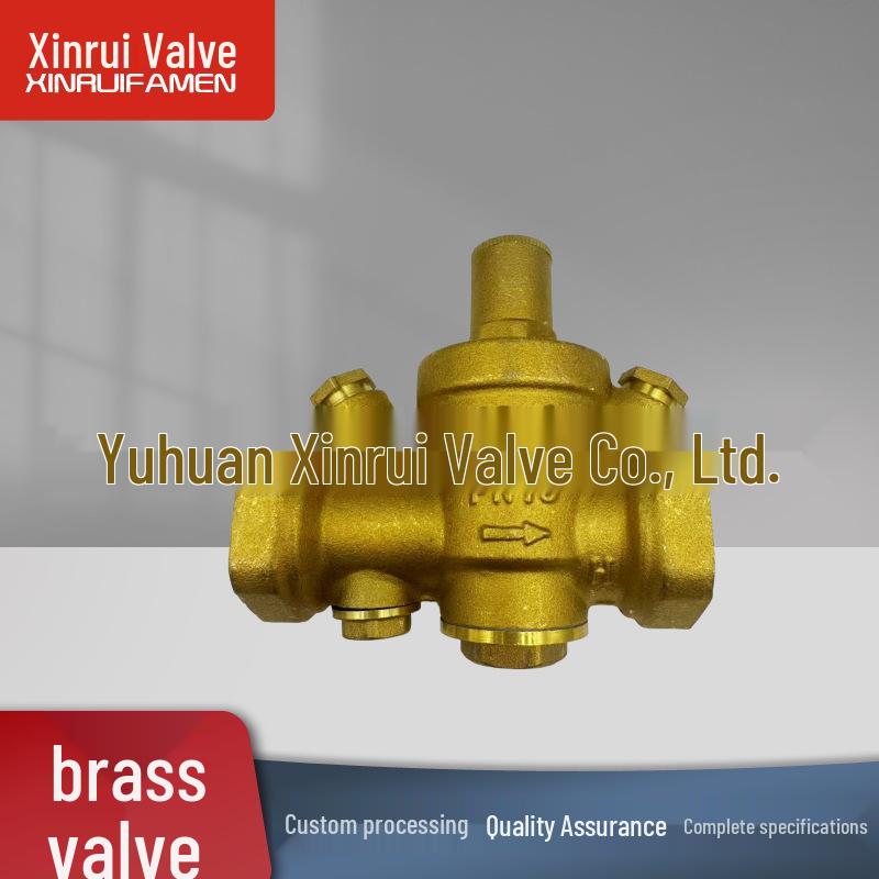Adjustable Brass Pressure Reducing Valve with Filter & Anti-Leak Relief for Tap Water