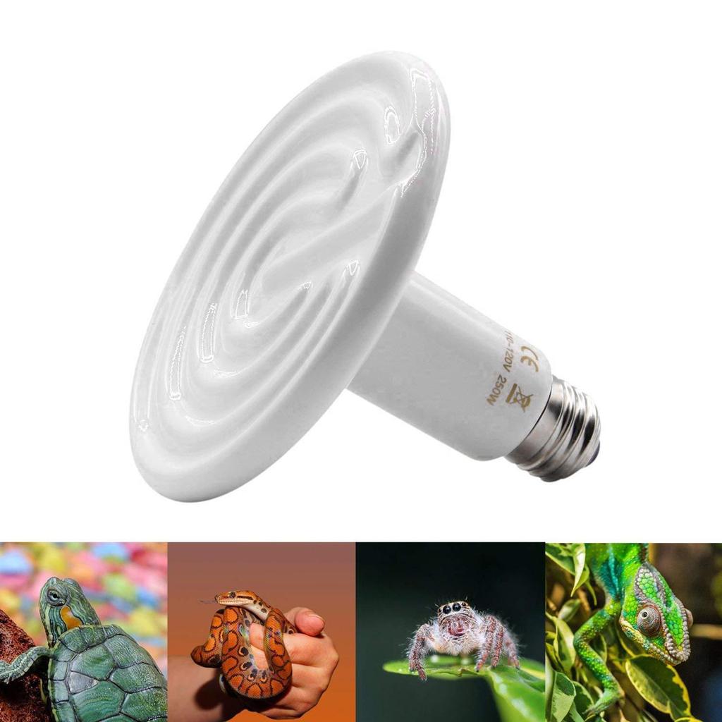 Reptiles Heating Lamp Lizard Heat Bulb Vivarium Emitting Heater Pet Lamp