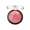 Palette Blush Illuminante Contouring a Cinque Colori da Donna, Cipria Compatta Embossed a Lunga Tenuta per le Guance