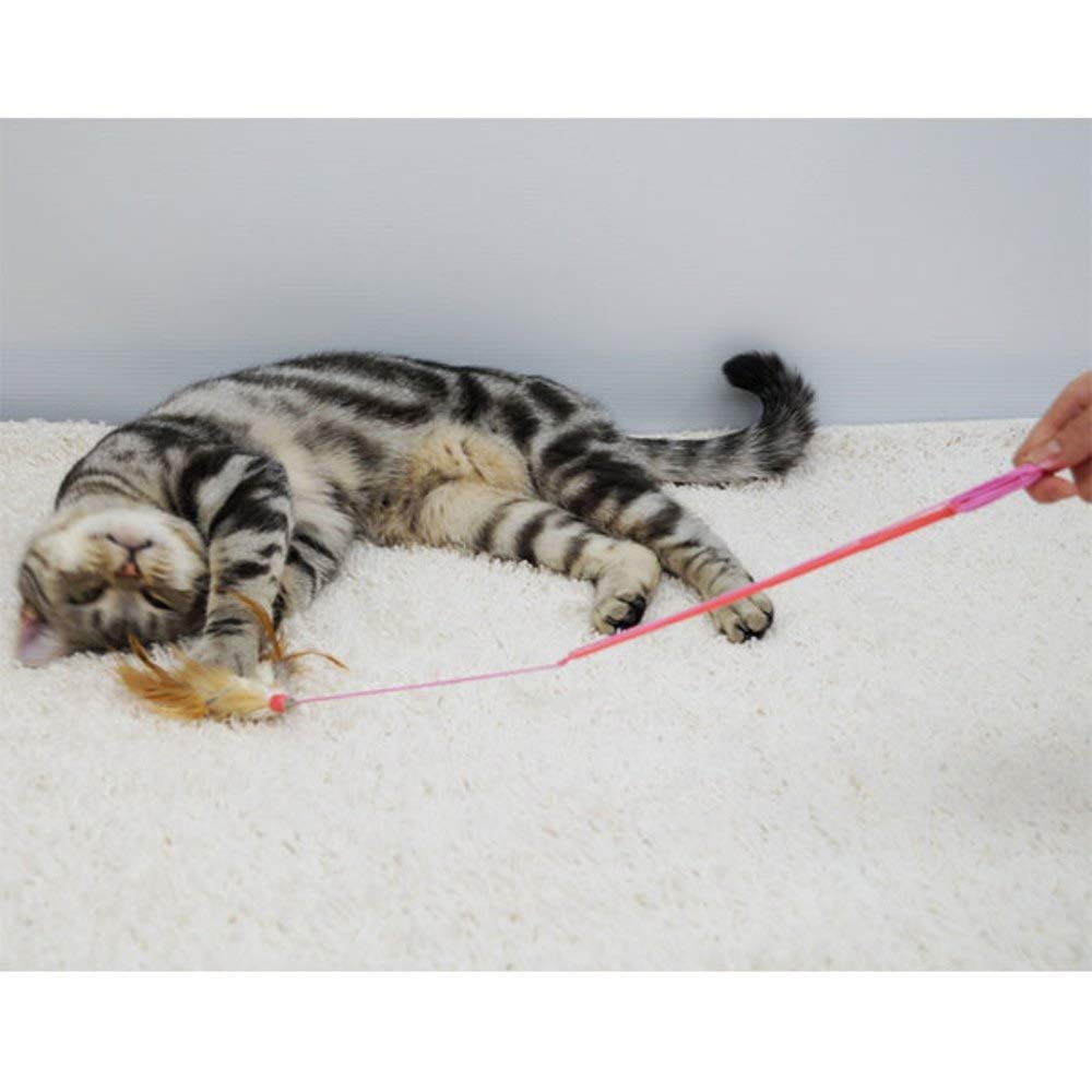 CattyMan Playful Cat Somersault X 3