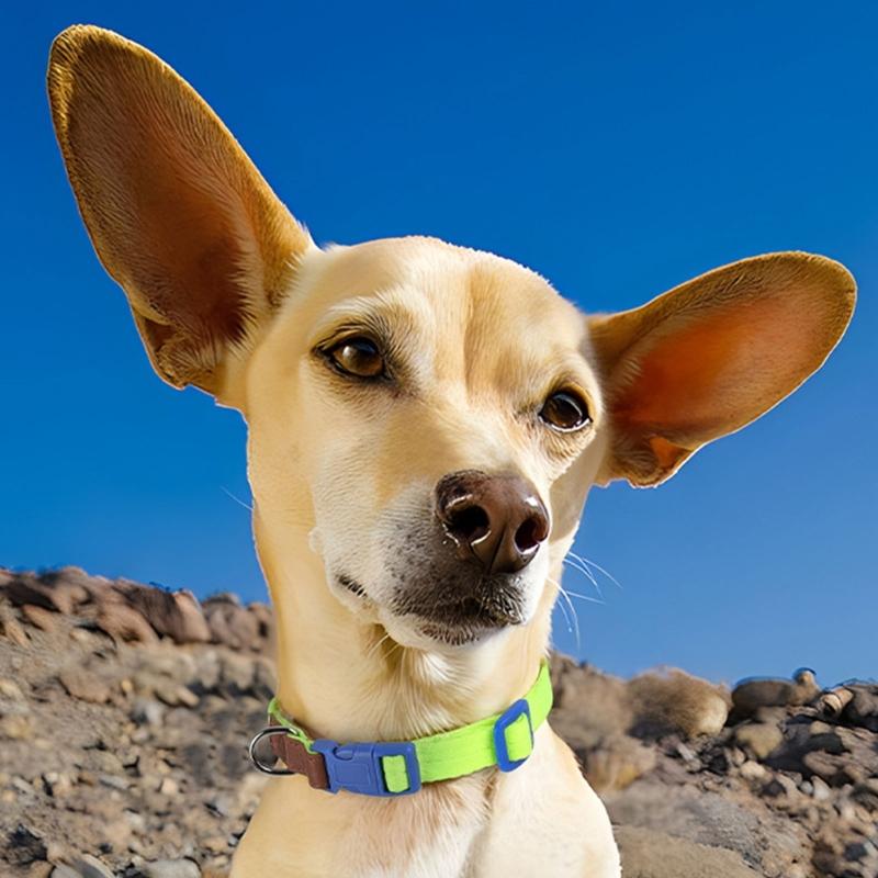 Heavy Duty Dog Collar Leash for Large Medium Dogs Walking Hiking Harnesses Strong Pet Dog Leash