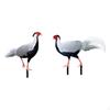 2 Stück Vogeldekorationen mit Erdspießen Bedruckte Acryl-Umrisse Einfach zu verwendende Silhouette