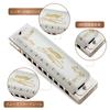 East Top Blues Harmonica In Bb 20 Brass Canvas and Cleaning Professional Diatonic Harmonica 10-Hole Key, Tones, Cover, Case, Cloth, (T008L-Bb-gm)