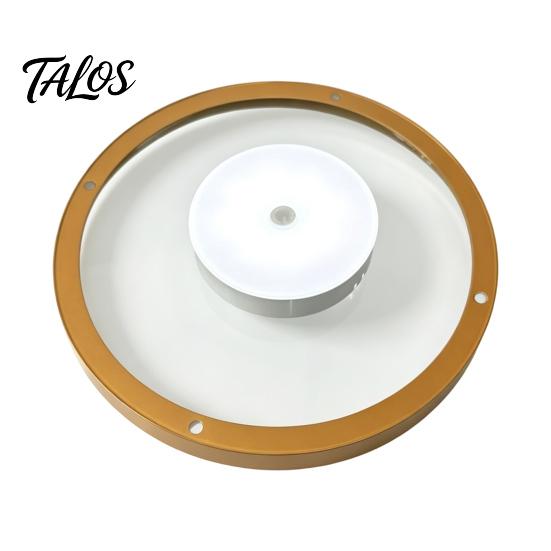 Illuminated Wall Decor for Home Floating Shelf with LED Light, Modern Gold Metal Display Rack Minimalist Invisible Bracket Plants Book, Space