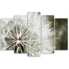 Five Piece Picture Canvas Print Blower White Flowers