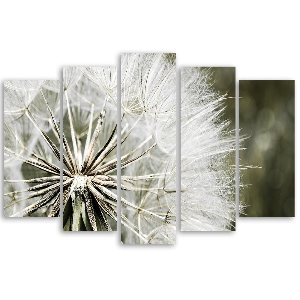 Five Piece Picture Canvas Print Blower White Flowers
