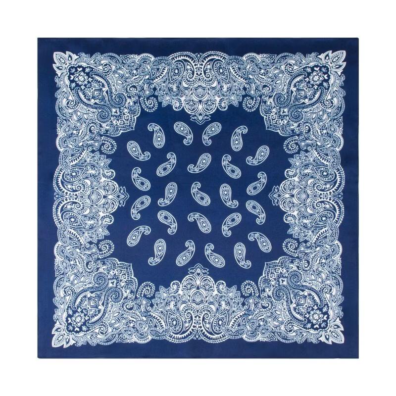 TXRMDX Men s Business Paisley Silk Scarf One Size