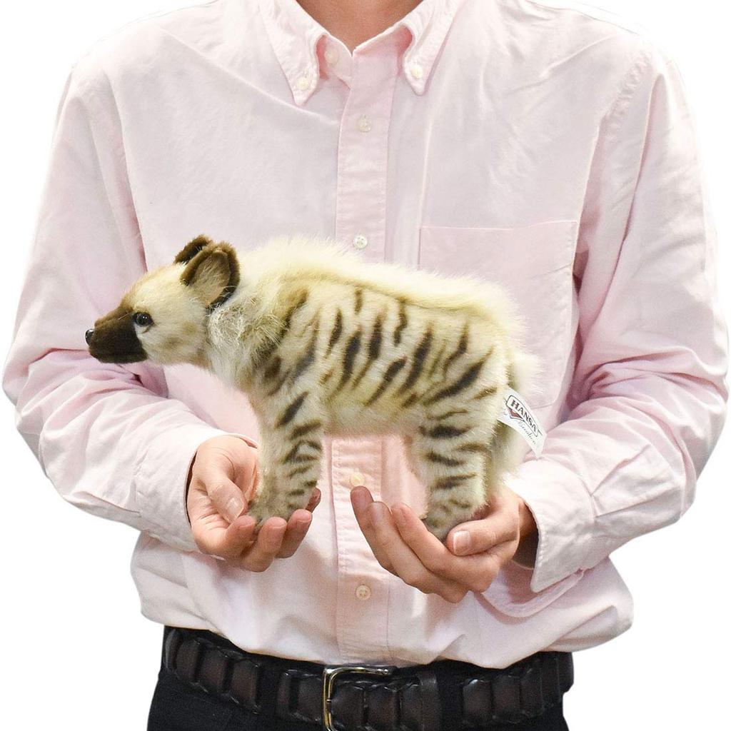 BH6210 HANSA Striped Hyena 33