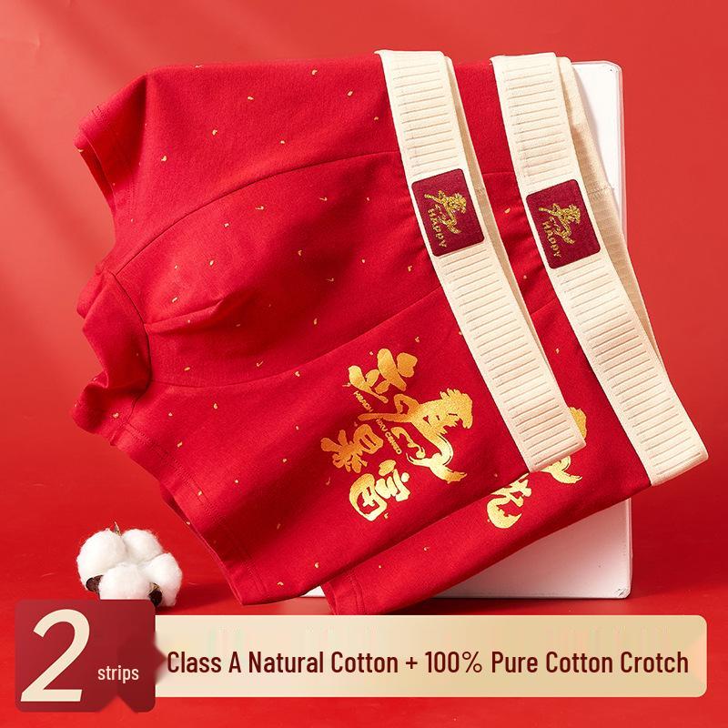 Boys' Full Cotton Underwear (Ages 15-18) - Pure Cotton Crotch for Autumn/Winter