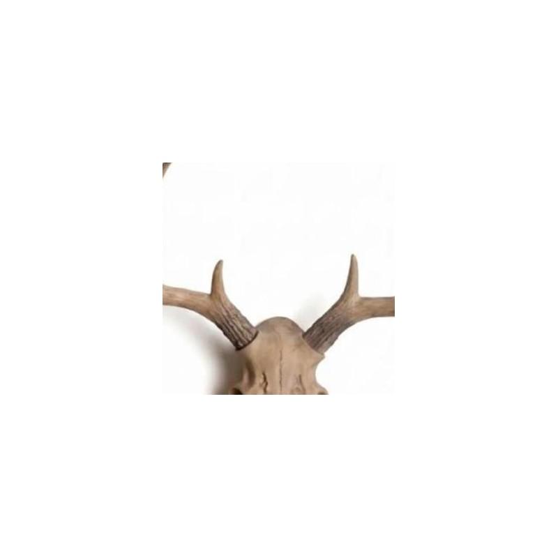 Resin Stag Deer Skull Antler Rack Wall Mounted for BUCK Plaque Decor Figurine for Entryway Bathroom Living Room Farmhouse