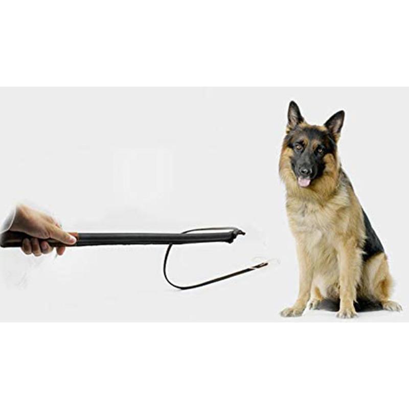 Buy Pet Dog Training Whip Tool Imitation Cowhide Sound Whip for Horse