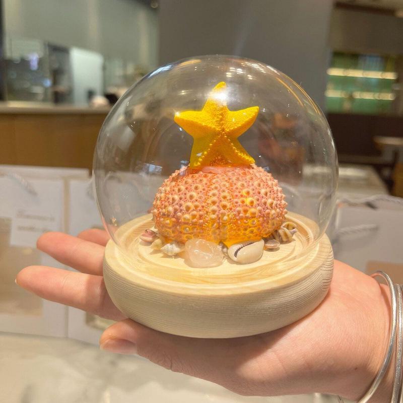 

Luminous Seashell & Sea Urchin Night Light Gift Set for Spring Festival or Birthday