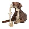 Perros – Juguetes para perros