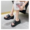 Slippers Female Non-slip Home Soft Bottom Trend Thick Bottom Can Be Worn Outside Sandals Slippers